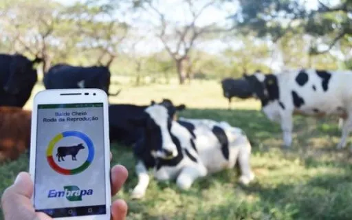 Melhoramento genético em Gado: Entenda como este pode afetar sua produção
